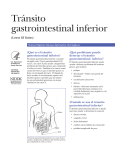 Tránsito gastrointestinal inferior (Lower GI Series)