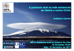 08 - A patoloxía dual na rede asistencial de Galicia e outras