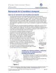 Family Information Sheet (Spanish)