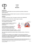 Asthma (Spanish) - Patient Education Institute