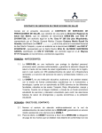 Documento - Universidad Nacional de San Martín