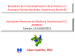 Lilian Castilho, PhD