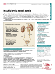 JAMA Patient Page | Insuficiencia renal aguda