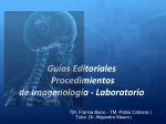 Guías Editoriales Procedimientos de Imagenología