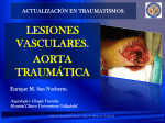 Trauma Vascular - Dr. San Norberto