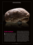 Mente y Cerebro, n.º 76