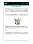 NEURALGIA DEL TRIGÉMINO La neuralgia del trigémino es un