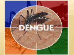 Clínica Dengue