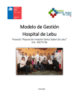 Modelo de Gestión Hospital de Lebu