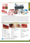 Life /form® Juego Ultra de Simulación de Heridas para Enfermeros