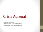 CRISIS ADRENAL – Dra. Ariana Margarita Sierra Osorio