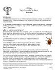 Lyme Disease - Spanish - Patient Education Institute