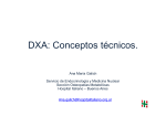 DXA: Conceptos técnicos.