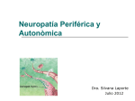 Neuropatía periférica y autonómica