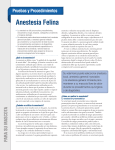 Anestesia Felina
