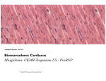 Mioglobina- CKMB-Troponina US - ProBNP