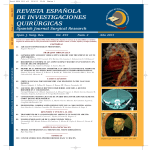 REIQ 2013-nº2 copia - Revista Española de Investigación Quirúrgicas