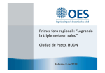 OES / Organización Para la Excelencia de la Salud