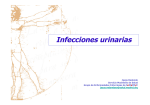Infecciones Urinarias- GAP 2014
