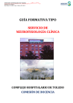 guía formativa tipo servicio de neurofisiología clínica