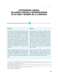 leptospirosis humana - Universidad El Bosque