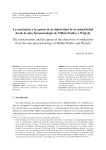 La conciencia y la aporía de la objetividad de la subjetividad desde