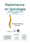 diptico - European Spinology Tutorium