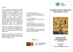 documento - Fundación Seminario de Investigación para la Paz