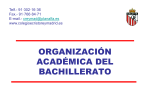 organización académica del bachillerato