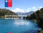 Guía de pesca recreativa: Región de Aysén