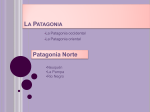Presentación Patagonia Norte