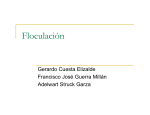Floculación PPT