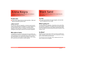Black Sand Arena Negra