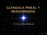 Glándula Pineal y mediumnidad