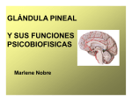 Glándula Pineal y sus Funciones Psicobiofisicas