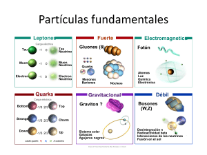 Partículas fundamentales - Grupo de Física experimental de altas