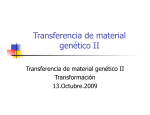 Transferencia de material genético II-2