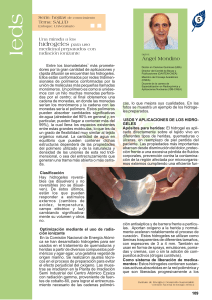 Web Hojita 109-110 HIDROGELES