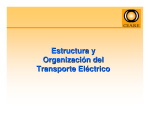 Estructura y Organización del Transporte Eléctrico